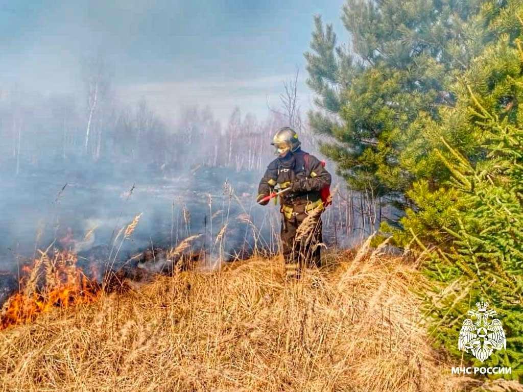 Ограничения в посещении лесов в Краснодарском крае