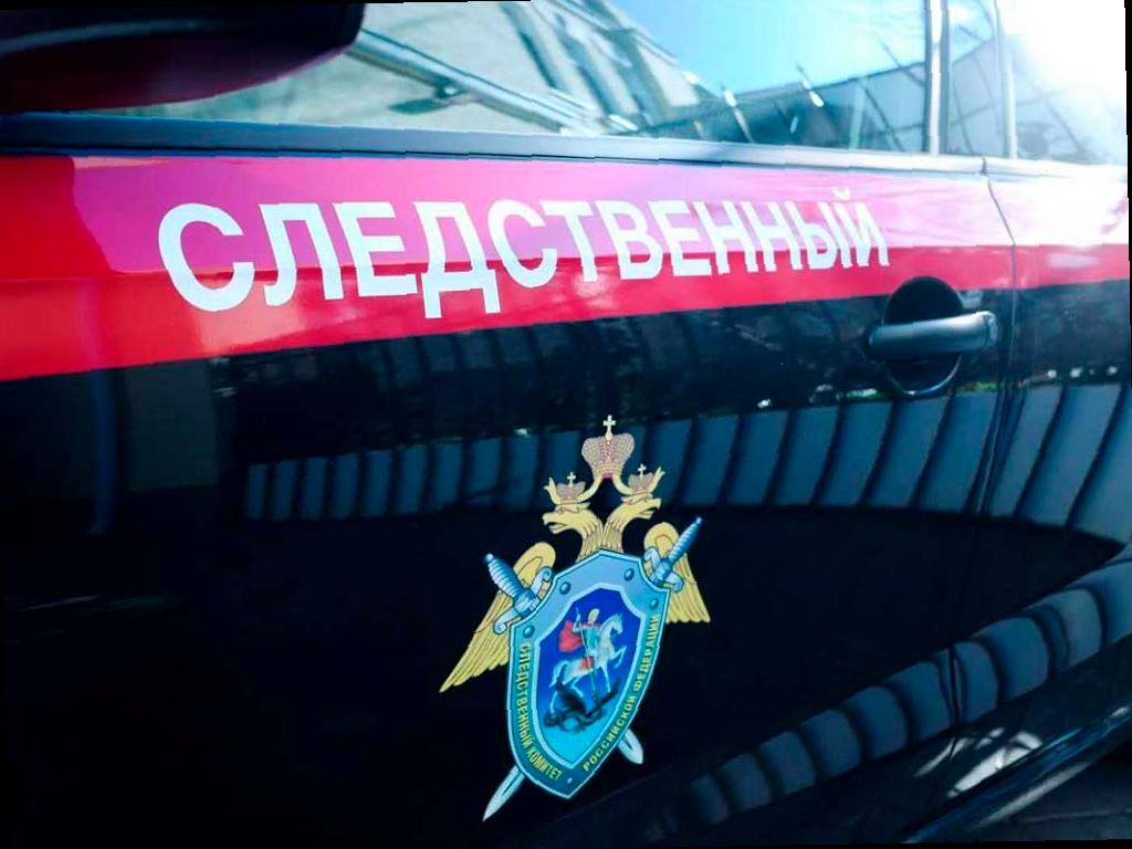 Женщина из Сочи обвиняется в убийстве брата своего сожителя с особой жестокостью. Следственное управление СКР по Краснодарскому краю сообщило об этом случае.