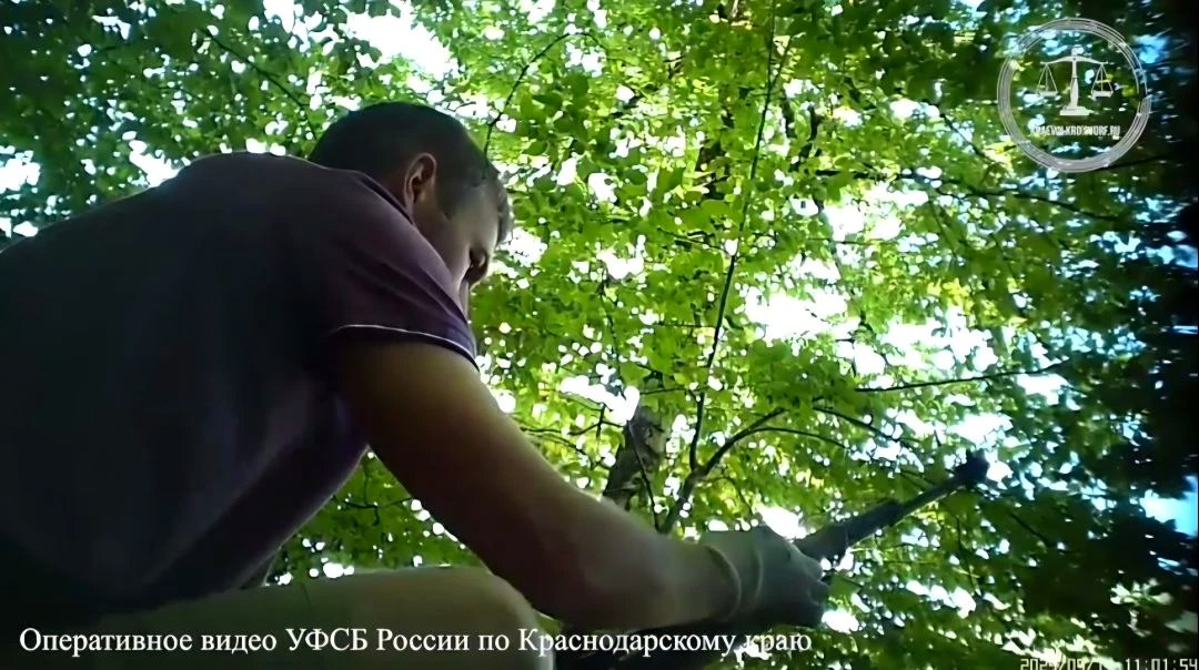 Приговор за незаконное хранение и сбыт оружия в Сочи
