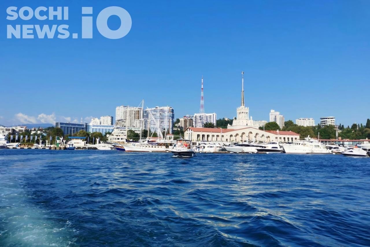 Ситуация с экологией в Сочи стабильна и безопасна для отдыхающих