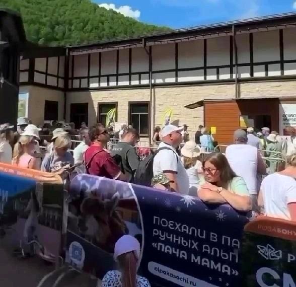 Ситуация с очередями и сборами на курортах Сочи