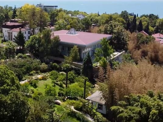 Капитальный ремонт музея «Дерево Дружбы» в Сочи