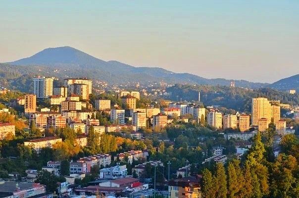 Контроль за торговлей и парковкой в Сочи принес более 23,5 млн рублей